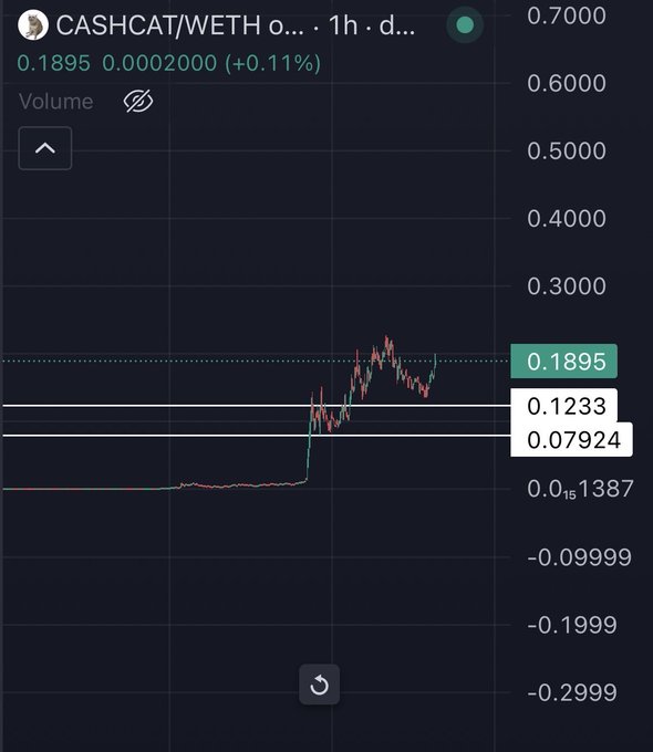 A CASHCAT/WETH 1-hour candlestick chart showing a sharp breakout from a long flat base around 0.015 to new highs at 0.1895 (+0.11%), with key resistance levels marked at 0.1233 and 0.0792—visually supporting the post's claim of a new all-time high for $Cashcat.