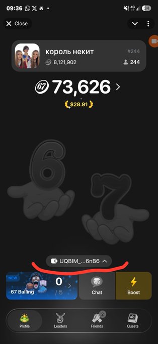 A mobile app screenshot showing a user profile with the username "король некит" displaying 73,626 coins (approximately $28.91), with the identifier "UQvBiM....6nB6" highlighted in red at the bottom of the screen.