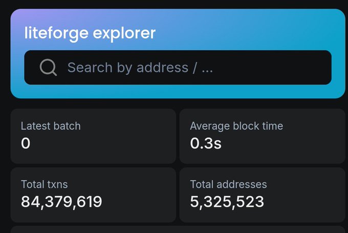 The image shows a phone screen displaying information about the LiteVM Litecoin explorer app that is part of a cryptocurrency testing service, which has reached 84,000,000 transactions on the testnet today! This success is perfect timing for an event like the Litecoin Summit in Amsterdam and it appears to be well-organized by nature.