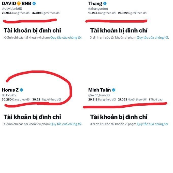 The image shows four Twitter/X accounts—@davidbnb68, @thangonton, @HoruszZ, and @minh_tuan88—all displaying "Tài khoản bị đình chỉ" (Account Suspended) notices with follower counts ranging from 26,000 to 37,000, relating to the post's warning that X is enforcing strict action and users should be careful about channel-building that could take a long time to rebuild.