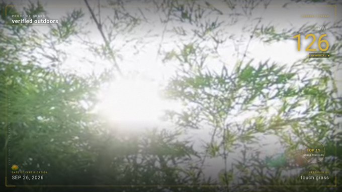 A bright sun shines through the leaves of a tree, captured through what appears to be a camera viewfinder overlay displaying '126' photos, 'SEP 26, 2026', and a 'verified outdoors' badge.