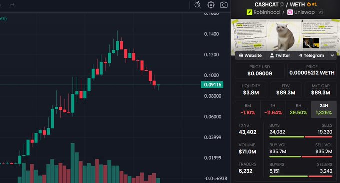 A cryptocurrency trading chart on DEXTools for the CASHCAT/WETH pair on Robinhood via Uniswap, showing a price of approximately $0.09009, a market cap of $89.3M, and recent price action with a 1,325% gain in 24 hours.