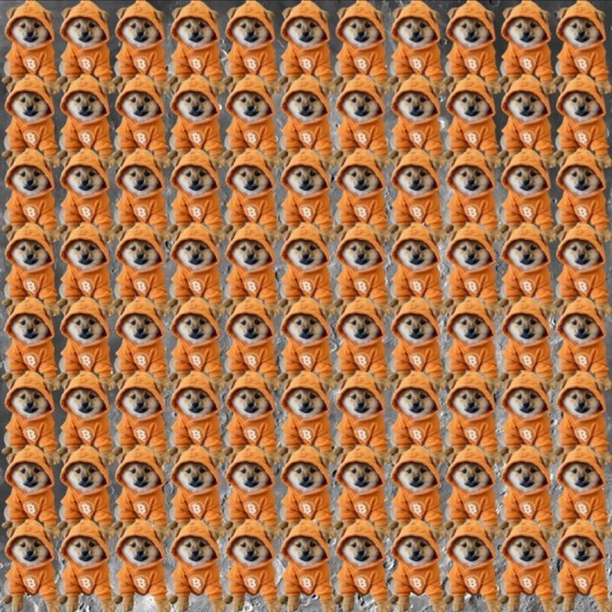 A tiled grid of identical Shiba Inu dogs wearing orange hoodies with the letter "S" on them, displayed in 10 rows by 11 columns. The image relates to the post's message of perseverance, as the repetitive army of dogs visually represents the dedicated $DOG community continuing to "turn up every day" despite tough market conditions and lack of price action.