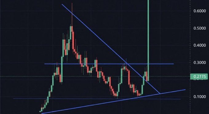 A candlestick chart displays a cryptocurrency or stock trading at $0.2175, with price movements ranging between approximately $0.1000 and $0.6000. The chart features descending and ascending trendlines forming a triangle pattern, suggesting a potential breakout setup that aligns with the bullish sentiment expressed in the post referencing tickers like $ANSEM, $CUPSEY, $PIPEDOG, and $CATE.