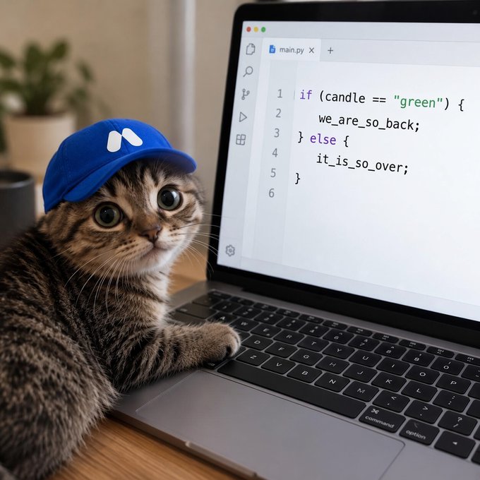 A tabby cat wearing a blue baseball cap sits at a MacBook displaying code: 'if (candle == "green") { we_are_so_back; } else { it_is_so_over; }'.