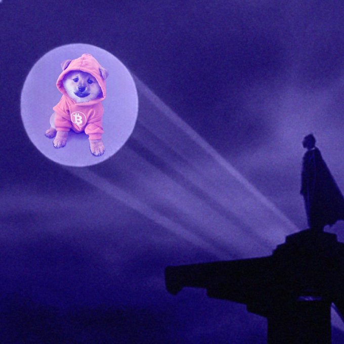 A digital collage artwork in purple tones showing a silhouette of a person standing on a structure, looking up at a spotlight illuminating a dog wearing a pink Bitcoin hoodie.