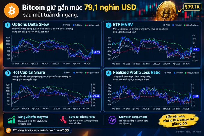 A Vietnamese-language Bitcoin analysis chart showing the price around $79.1K USD, with sections for Options Delta Skew, ETF MVRV, Hot Capital Share, and Realized Profit/Loss Ratio.