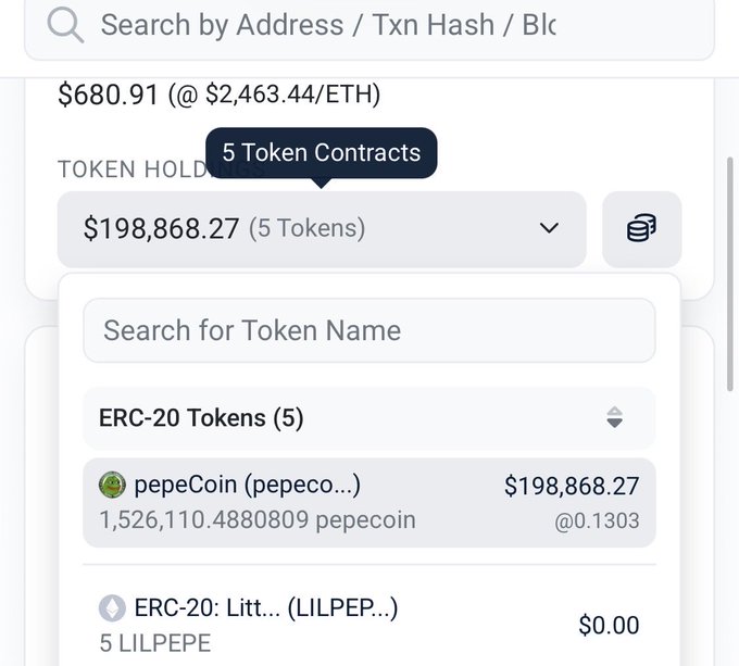 A wallet interface showing token holdings including pepeCoin (pepeco...) valued at $198,868.27 with 1,526,110.488809 pepecoin tokens, and LILPEPE tokens.