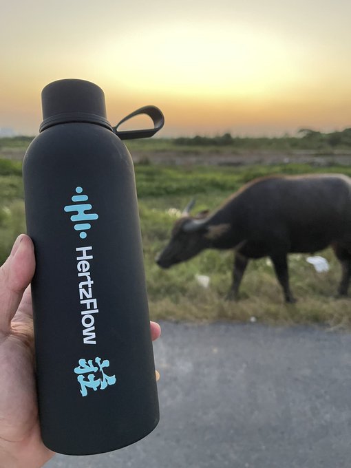 A hand holds a black 'Hi. HertzFlow' water bottle in the foreground, with a water buffalo grazing in a field during sunset.
