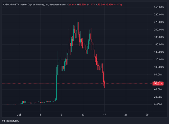 A 4-hour Uniswap chart shows CASHCAT/WETH market cap surging from near zero to a peak around 220M before correcting sharply down to 55.51M (down 8.47%), illustrating the post's description of a "healthy correction" following the token's volatile rally and pullback.