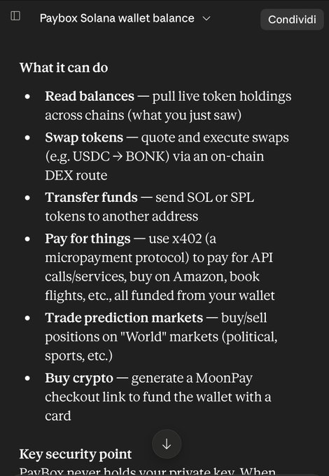 Screenshot titled 'Paybox Solana wallet balance' listing capabilities including Read balances, Swap tokens, Transfer funds, Pay for things via x402, Trade prediction markets, and Buy crypto.