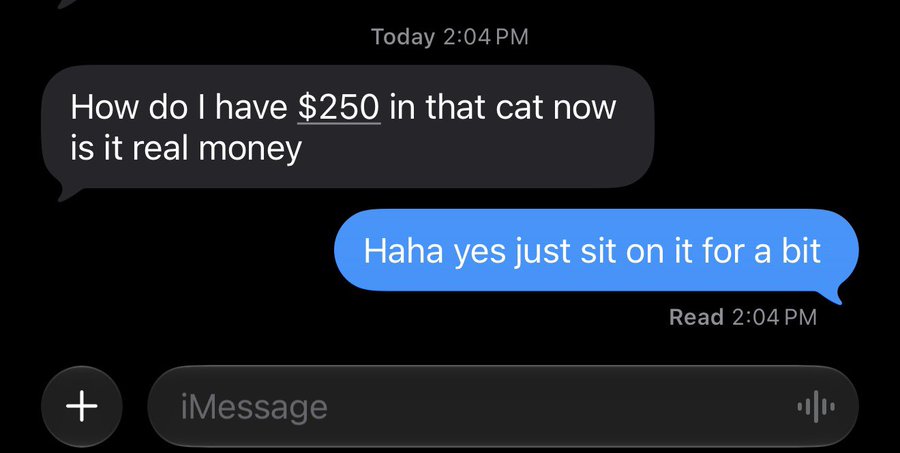 A screenshot of an iMessage conversation shows a message reading, "How do I have $250 in that cat now is it real money," with a reply stating, "Haha yes just sit on it for a bit." This illustrates the youngest brother's confusion upon seeing his initial $50 investment in $el gato grow to $250 on the Pumpfun app.