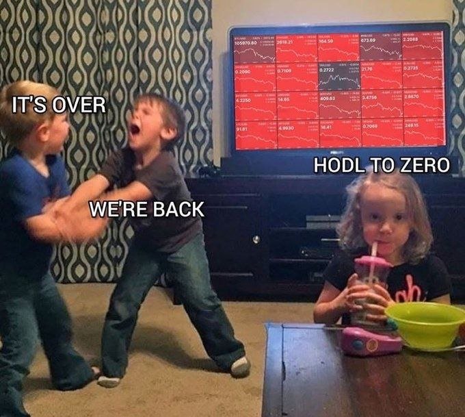 A meme image showing two children play-fighting in the background labeled 'IT'S OVER' and 'WE'RE BACK', while a girl calmly drinks from a cup in the foreground labeled 'HODL TO ZERO' in front of a TV displaying crashing stock/crypto charts.