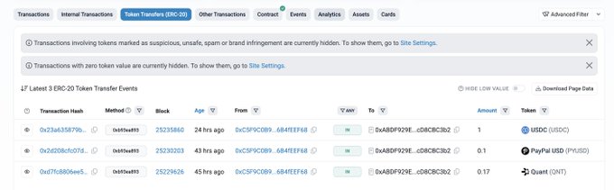 There's a tab that has a summary of two different transactions, one for the "Largest Coin", which appears to be worth over $3. Another transaction is for a coin that seems to cost around $0.25 or less on a website called "QNT". The image showcases these transactions as a sort of chart and provides further details about them such as a description and price.