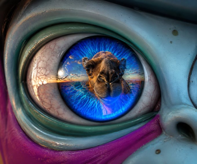 A close-up of an eye with a vivid blue iris that reflects an image of a camel's head against a sunset landscape, surrounded by purple and green skin tones.