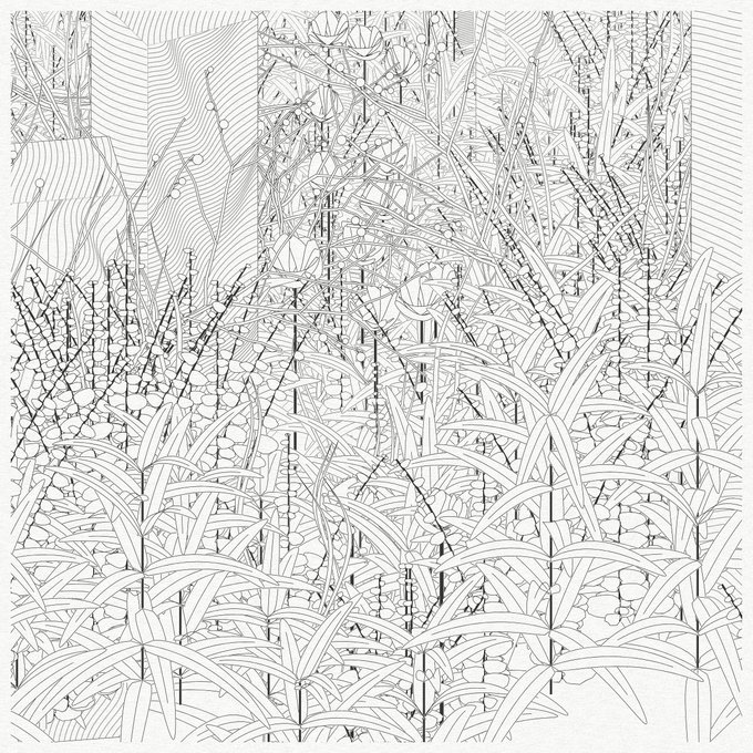 A complex black and white line drawing featuring dense, overlapping botanical or abstract patterns with repetitive leaf-like and scale-like motifs filling the entire square frame.