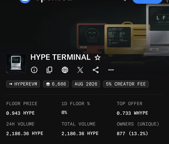 Screenshot of an NFT collection page for 'HYPE TERMINAL' on HyperEVM, showing 6,666 supply, floor price of 0.943 HYPE, 24H volume of 2,186.36 HYPE, and 877 unique owners.
