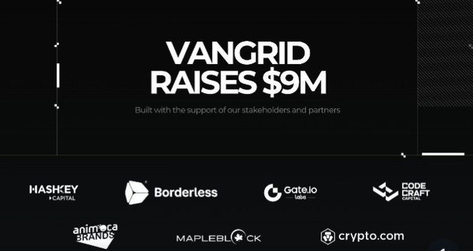 An announcement graphic reading 'VANGRID RAISES $9M' with the subtitle 'Built with the support of our stakeholders and partners,' displaying investor logos including HashKey Capital, Borderless, Gate.io Labs, Codecraft Capital, Animoca Brands, Mapleblock, and crypto.com.