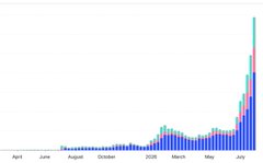 The image shows a bar chart tracking some kind of trading or volume activity from April through July, with dates labeled along the x-axis (April, June, August, October, 2025, March, May, July) and minimal activity until a dramatic spike in the most recent months, with bars in blue and a tall teal bar peaking at the far right. This supports the post's claim that new traders are gravitating toward established, high-volume assets rather than exploring new trading pairs, as the surge occurs only on what appears to be a single dominant asset during a major market rally.