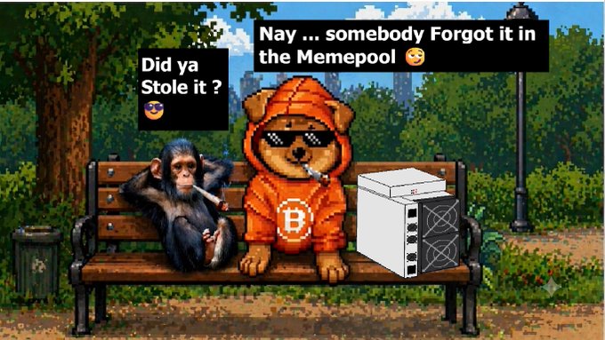 Pixel-art style characters of a smoking chimp and a Shiba Inu in an orange Bitcoin hoodie sit on a park bench next to a computer server, with dialogue bubbles reading 'Did ya Stole it?' and 'Nay... somebody Forgot it in the Memepool'.