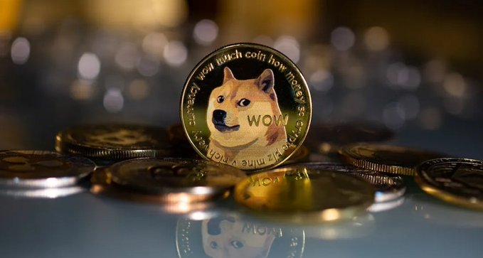 A close-up photograph shows a physical Dogecoin coin featuring the Shiba Inu dog and the text "WOW," standing upright among other coins on a reflective surface.