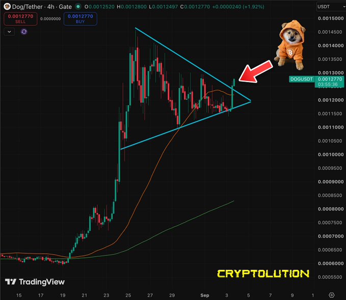 A TradingView candlestick chart for DOGUSDT on Gate exchange showing a symmetrical triangle pattern with an arrow pointing to a breakout, featuring a Doge meme image in the corner and the 'CRYPTOLUTION' watermark.