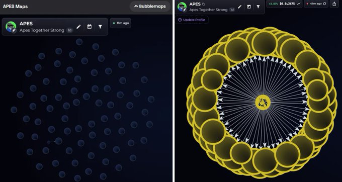 The image shows two side-by-side views of a Bubblemaps visualization for the $APES token ("Apes Together Strong"), with the left panel displaying a sparse grid of isolated dots on DexScreener and the right panel revealing an organized circular cluster of interconnected wallets on the Bubblemaps website, highlighting the stark contrast between the two rendering formats.
