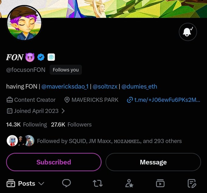 A Twitter/X profile for user 'FON' (@focusonFON), a Content Creator from Mavericks Park with 14.3K following and 27.6K followers, whose display indicates they are subscribed.