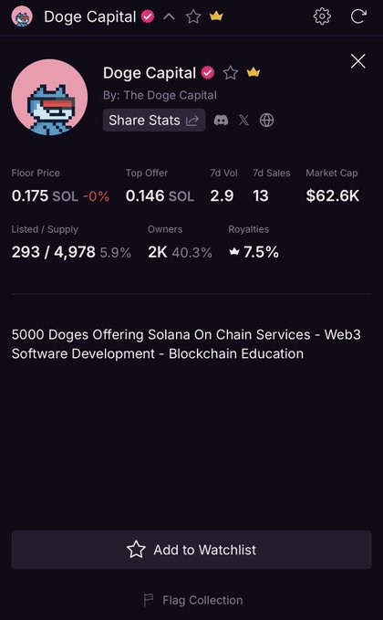 A digital interface displaying statistics for an NFT collection named "Doge Capital," showing a floor price of 0.175 SOL (-0%), a top offer of 0.146 SOL, and a market cap of $62.6K.