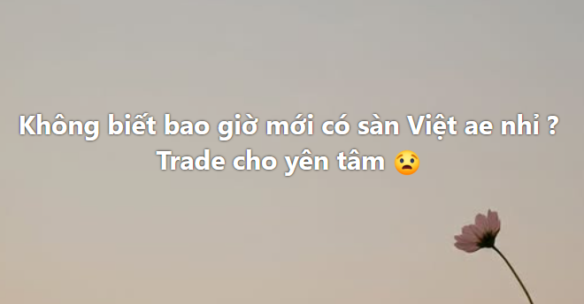 A simple background with a small pink flower and Vietnamese text reading "Không biết bao giờ mới có sản Việt ae nhỉ? Trade cho yên tâm" followed by a worried face emoji.