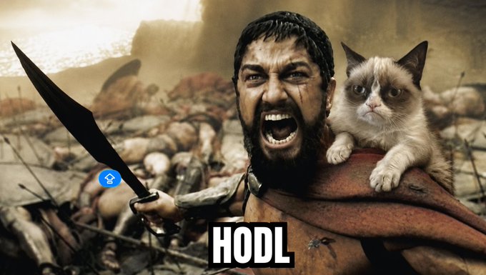 Meme image of a yelling Spartan warrior (King Leonidas from 300) holding a sword with a grumpy cat on his shoulder, labeled 'HODL' with a cryptocurrency icon.