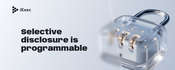 The image features a clear plastic lock box with a silver keyhole. The lock box has a transparent glass cover that allows you to see through it. Below the lock box, there's text that reads "Selective disclosure is programmable". This message suggests that the lock box can be customized and adapted according to the user's preferences or requirements.
