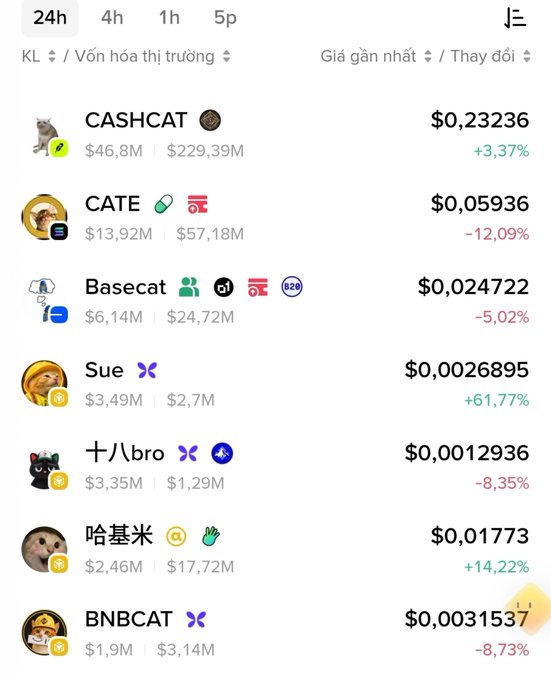 A cryptocurrency tracking screen in Vietnamese showing meme coin prices including CASHCAT ($0,23236, +3,37%), CATE ($0,05936, -12,09%), Basecat, Sue (+61,77%), 十八bro, 哈基米 (+14,22%), and BNBCAT (-8,73%).