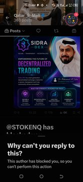 Mobile screenshot of social media posts including a post about Qatar e-Mall with '248 points' and a SIDRA post for 'DECENTRALIZED TRADING', followed by a notification that '@$TOKENQ has blocked you' with the message 'Why can't you reply to this?'