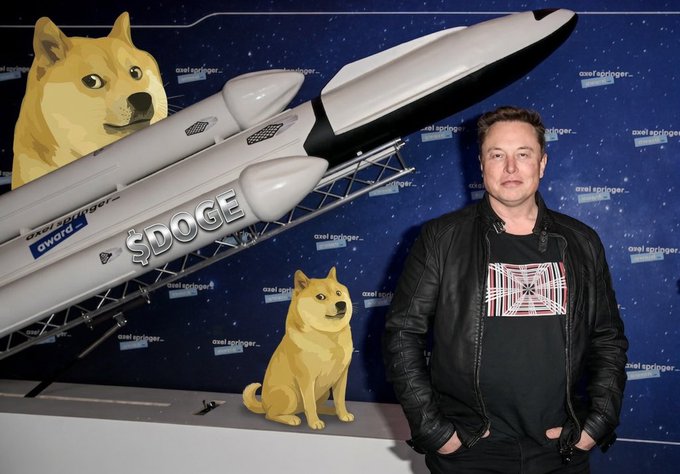 Elon Musk stands beside a model rocket labeled "$DOGE" with a Dogecoin Shiba Inu mascot at a Doge Spring event, visually reinforcing the post's message about sending Dogecoin to the moon.