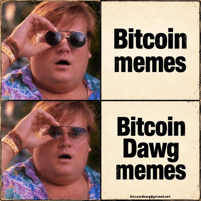 A two-panel meme featuring a man adjusting sunglasses; the top panel reads 'Bitcoin memes' and the bottom reads 'Bitcoin Dawg memes' with the watermark 'bitcoindawg@primal.net'.