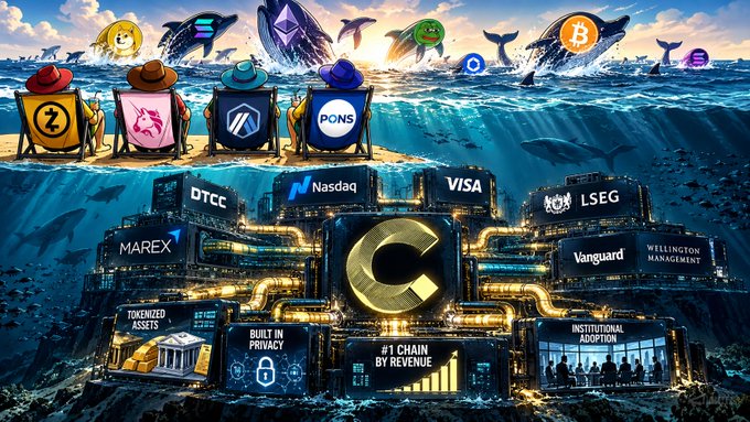 An illustrated crypto-themed scene depicts various coin characters (including Z, PONS, and ARB) relaxing in beach chairs above water, while a massive underwater corporate structure displays names like Nasdaq, VISA, DTCC, MAREX, LSEG, and Vanguard, along with banners reading 'TOKENIZED ASSETS', 'BUILT IN PRIVACY', '#1 CHAIN BY REVENUE', and 'INSTITUTIONAL ADOPTION'.