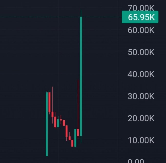 A candlestick chart shows an asset's price exploding from a low around $7K to a sharp peak of 65.95K, visualizing the volatile rally referenced in the caption.