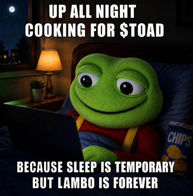 A plush Pepe the Frog character sits in bed with a laptop and a bag of "CHIPS" beside him, illuminated by a warm bedside lamp under a moonlit window. The meme text reads "UP ALL NIGHT COOKING FOR $TOAD" and "BECAUSE SLEEP IS TEMPORARY BUT LAMBO IS FOREVER," humorously matching the post's dedication to $TOAD with no backup plan.