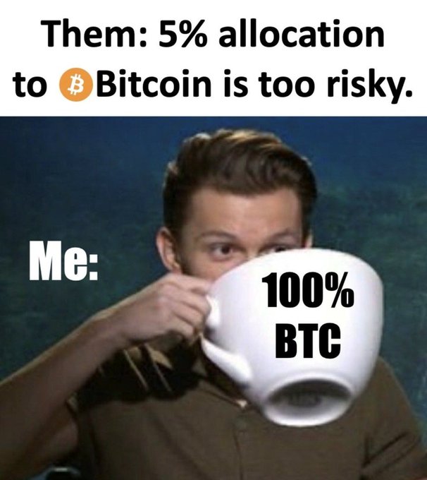 A meme showing a man drinking from a large white mug, with text reading "Them: 5% allocation to Bitcoin is too risky. Me: 100% BTC," humorously conveying the poster's all-in Bitcoin investment stance in contrast to cautious 5% allocations.