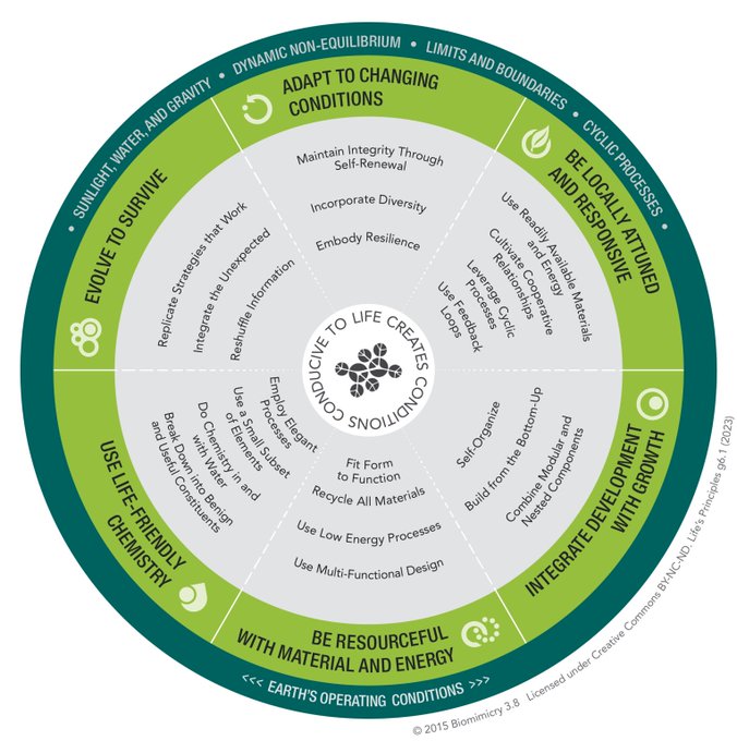 Circular 'Life's Principles' infographic illustrating biomimicry concepts like 'Evolve to Survive', 'Adapt to Changing Conditions', and 'Be Locally Attuned and Responsive' around a central core.