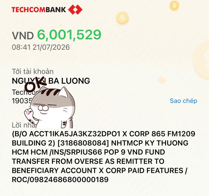 A Techcombank transaction notification showing a transfer of VND 6,001,529 at 08:41 21/07/2026 to account holder "NGUYEN BA LUONG," with a transfer memo referencing "NHTMCP KY THUONG HCM" and other banking details, overlaid with a cat sticker marked "OK."