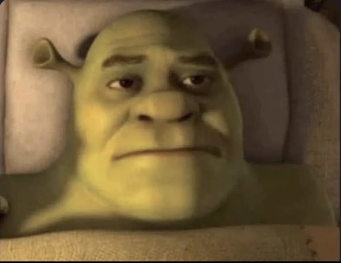 Shrek lies in bed with a skeptical, sidelong glance, his expression conveying suspicion and disappointment—capturing the uneasy feeling of realizing that while your money may be safe, your trust in someone has been betrayed.