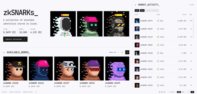 A webpage for "zkSNARKS_" shows a collection of pixel art characters and an "MARKET_ACTIVITY_" sidebar listing recent sales.