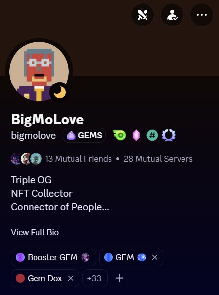 A Discord profile screenshot for 'BigMoLove' (bigmolove) with a pixel art avatar, described as a 'Triple OG NFT Collector Connector of People...', showing 13 mutual friends and 28 mutual servers, with GEMS collections.