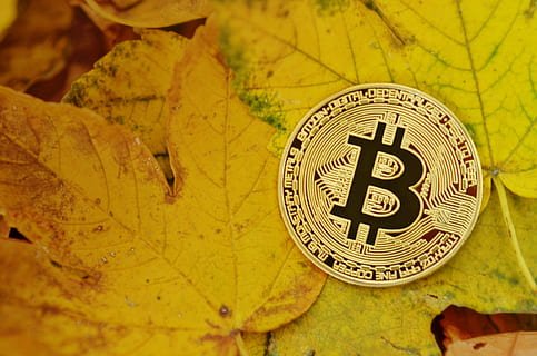 Close-up photograph of a gold-colored physical Bitcoin coin resting on yellow autumn leaves.