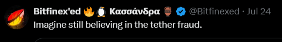 A tweet from Bitfinex'ed (@Bitfinexed) dated July 24, replying to user @Καρανδρα, reads "Imagine still believing in the tether fraud." The post is being mocked as a hypocritical defense of Tether/Bitfinex, with the commentator questioning who funded such relentless pro-Tether advocacy.