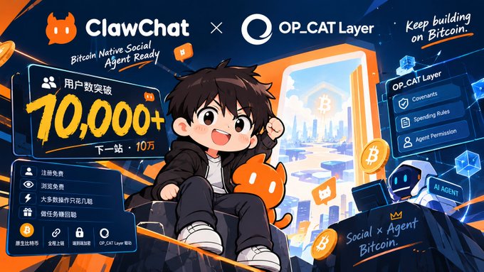 The promotional graphic celebrates ClawChat's partnership with OP_CAT Layer, highlighting that its user count has surpassed 10,000 with the bold text "用户数突破 10,000+ 下 一站: 10万" (Users exceed 10,000, next stop: 100,000). It showcases features like covenants, spending rules, and agent permissions, alongside the tagline "Keep building on Bitcoin" and "Social x Agent on Bitcoin," visually reinforcing the post's message of growth and the Bitcoin-native social agent's expanding community.