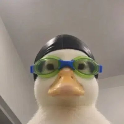 A rubber duck wearing green and blue swimming goggles looks straight ahead with a determined expression, visually representing the "$NASDUCK" token being promoted as an early-stage crypto gem on Robinhood Chain. The quirky, playful mascot aligns with the meme-coin style promotion emphasizing momentum and potential 100x gains.