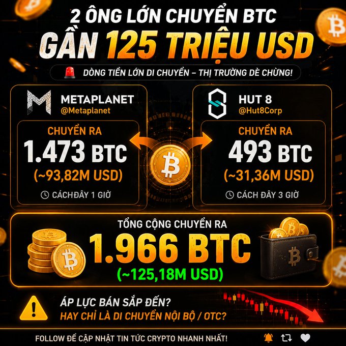 A crypto news infographic reports that Metaplanet transferred 1,473 BTC (~93.82M USD) and Hut 8 transferred 493 BTC (~31.36M USD), totaling approximately 1,966 BTC (~125.18M USD) in movements within hours. The image questions whether this represents selling pressure or merely internal/OTC transfers, accompanied by a warning icon and falling chart to emphasize market concern.